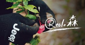 Realの森